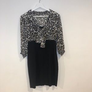 DOTS Professional Cheetah Business Dress Size 9/10